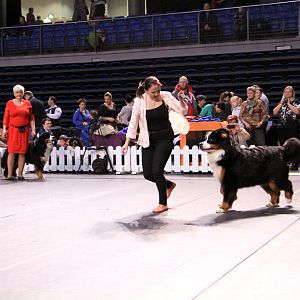 IMG_0072