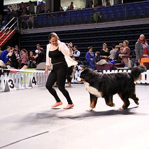 IMG_0074