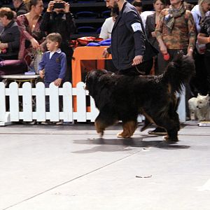 IMG_0077