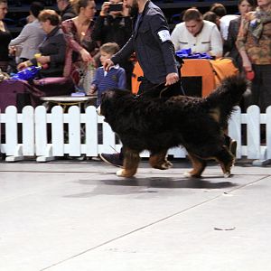 IMG_0078