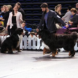 IMG_0079