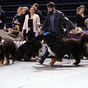 IMG_0080