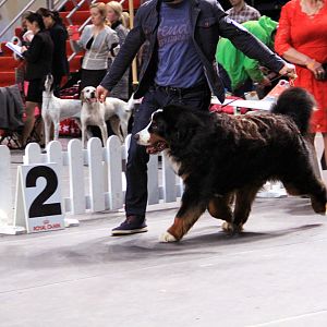 IMG_0081