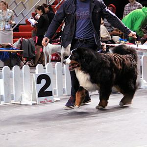 IMG_0082