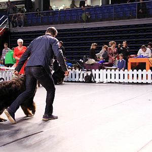 IMG_0083