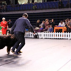 IMG_0084