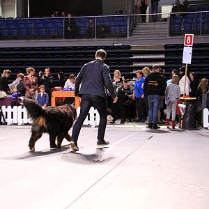 IMG_0085