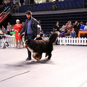IMG_0086