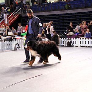 IMG_0087
