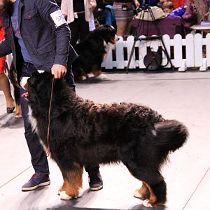 IMG_0088