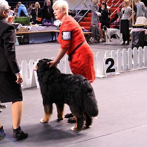 IMG_0091