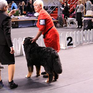 IMG_0092