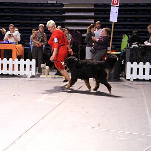 IMG_0094