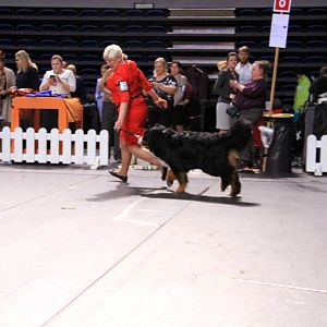 IMG_0095