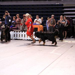 IMG_0096