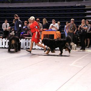 IMG_0097