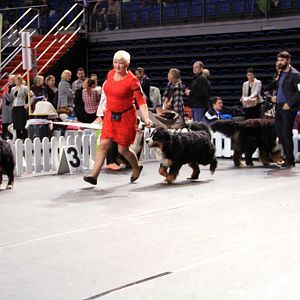IMG_0098
