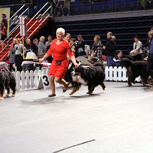IMG_0099