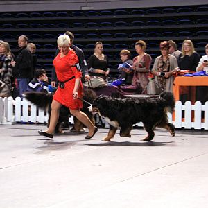 IMG_0101