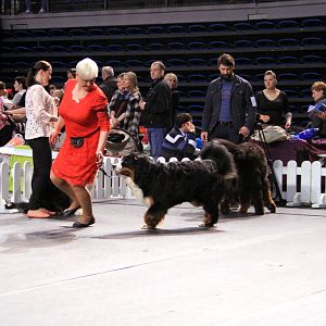IMG_0102