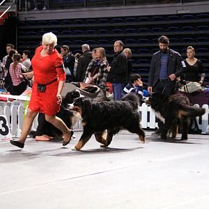 IMG_0103