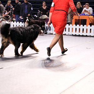 IMG_0105