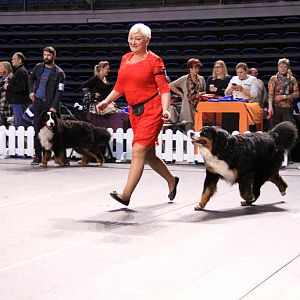 IMG_0106