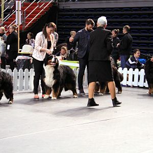 IMG_0112