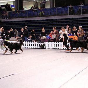IMG_0123