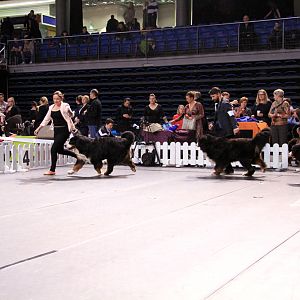 IMG_0126