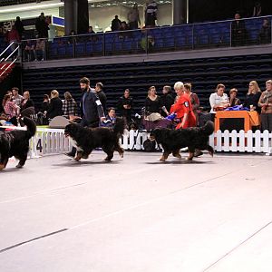 IMG_0127