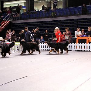 IMG_0128