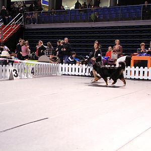 IMG_0129