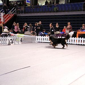 IMG_0130