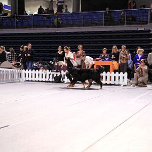 IMG_0131