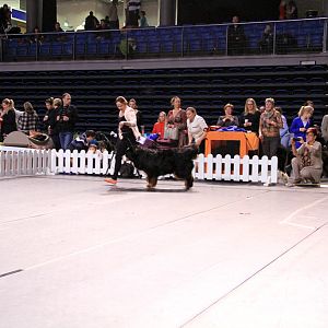 IMG_0132