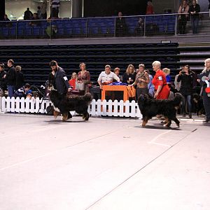 IMG_0135