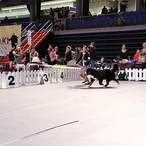 IMG_0136