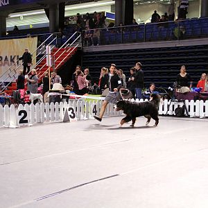 IMG_0137