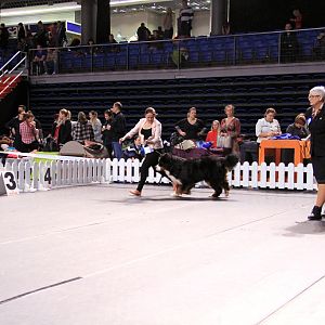 IMG_0138