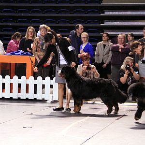 IMG_0142
