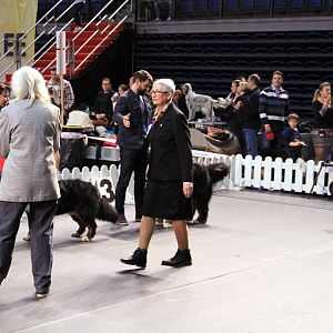 IMG_0148