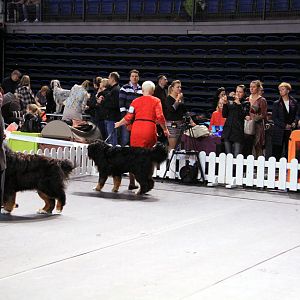 IMG_0149