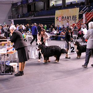 IMG_0152