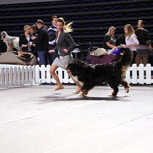 IMG_0162