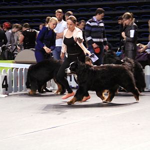IMG_0189