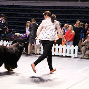IMG_0193