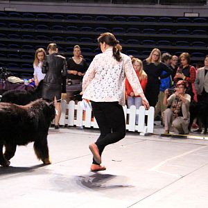 IMG_0194