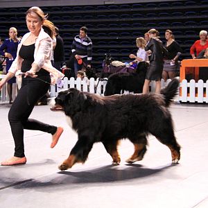 IMG_0195