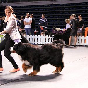 IMG_0196